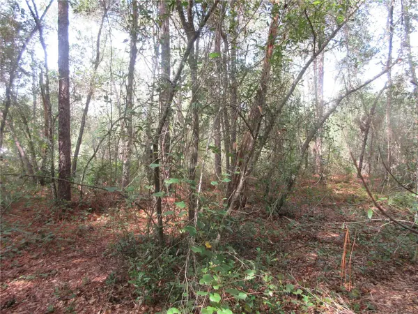 NE 171ST CT, Silver Springs, FL 34488