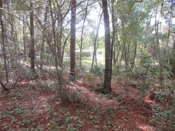 NE 171ST CT, Silver Springs, FL 34488