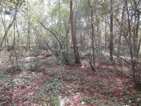 NE 171ST CT, Silver Springs, FL 34488