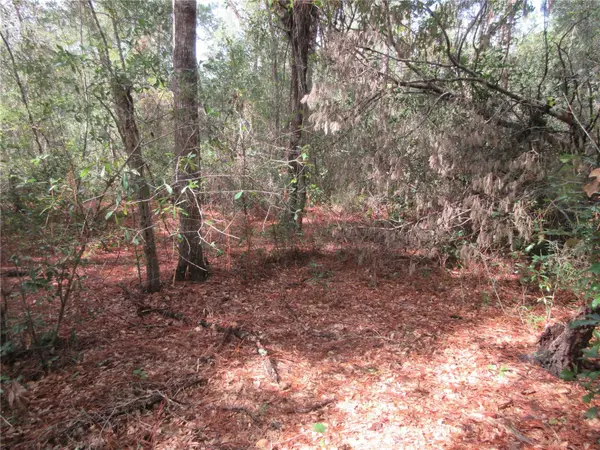 NE 171ST CT, Silver Springs, FL 34488