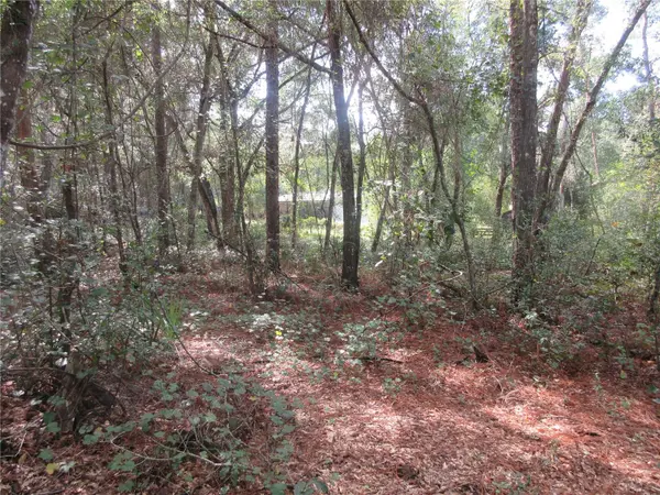 NE 171ST CT, Silver Springs, FL 34488