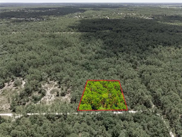 Lot 02 SW 175TH TER, Dunnellon, FL 34432