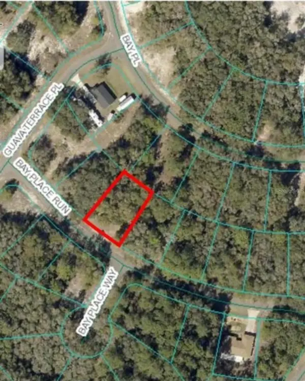 00 BAY PLACE WAY, Ocklawaha, FL 32179