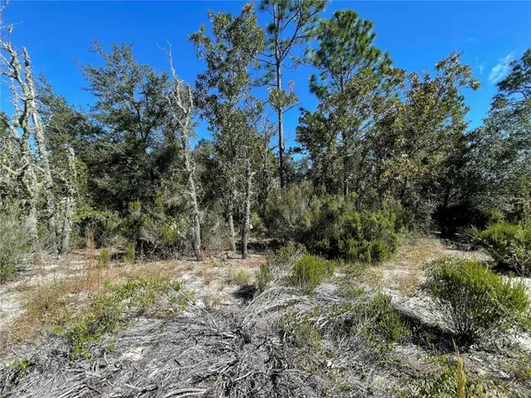 TBD NE HIGHWAY 27 ALT, Bronson, FL 32621