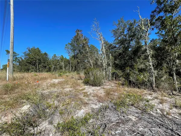 TBD NE HIGHWAY 27 ALT, Bronson, FL 32621