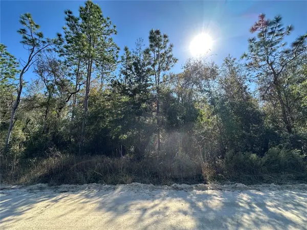 TBD NE 15TH ST, Williston, FL 32696