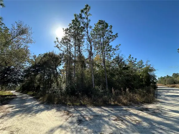 TBD NE 15TH ST, Williston, FL 32696