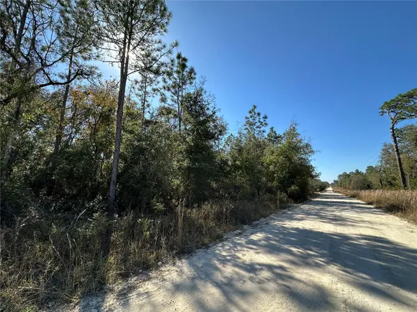 TBD NE 15TH ST, Williston, FL 32696
