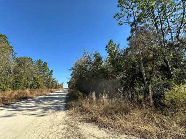 TBD NE 15TH ST, Williston, FL 32696