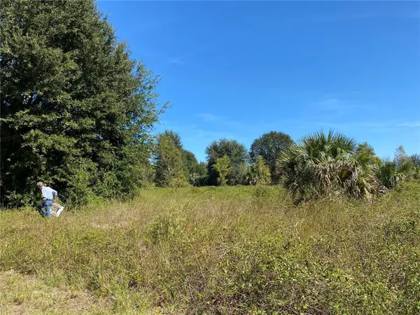 xxxx NE 3RD CT, Citra, FL 32113