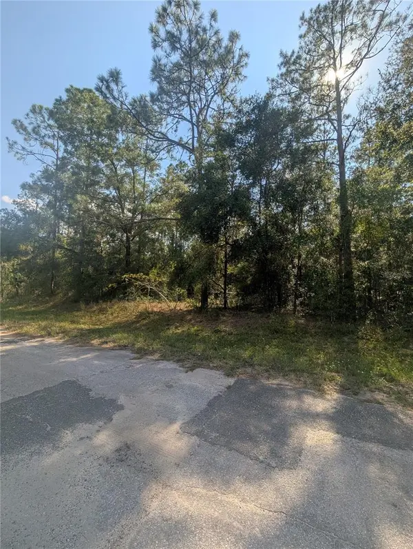 10484 N HOLCOMB DR, Citrus Springs, FL 34434