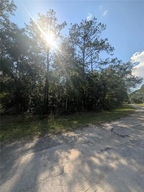10484 N HOLCOMB DR, Citrus Springs, FL 34434