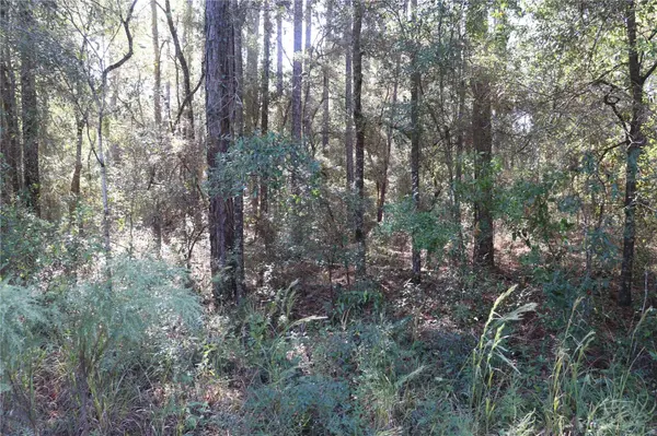 00 SW 39 ST, Dunnellon, FL 34432