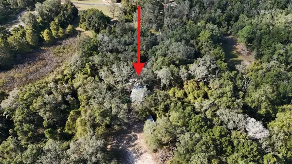 8735 CR 631A, Bushnell, FL 33513