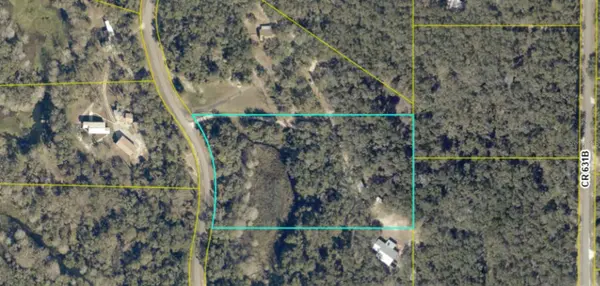 8735 CR 631A, Bushnell, FL 33513