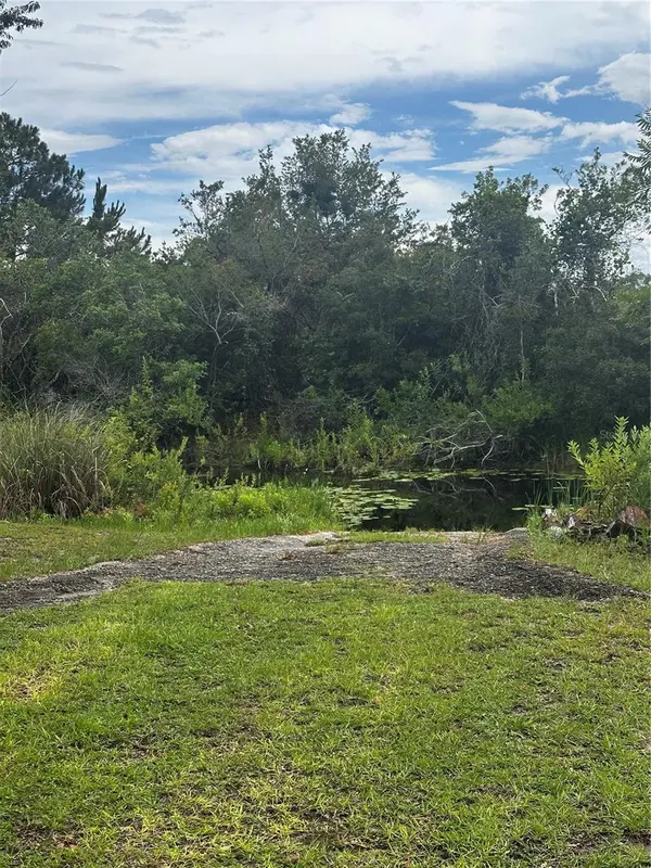 15080 NE 242ND AVE, Salt Springs, FL 32134