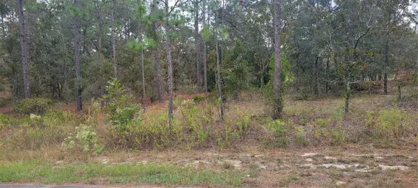 0 SW ARROW LEAF TRL, Dunnellon, FL 34431