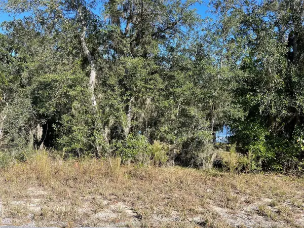 LOTS 444, 445 SW SHOREWOOD DR, Dunnellon, FL 34431