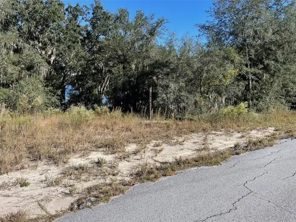 LOTS 444, 445 SW SHOREWOOD DR, Dunnellon, FL 34431