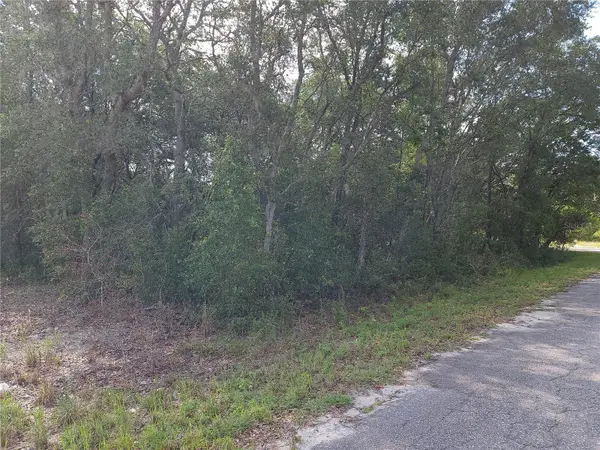 Lot 20 SE FISHER LANE PASS, Ocklawaha, FL 32179