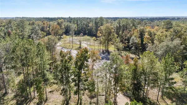 TBD NW 145 ST, Williston, FL 32696