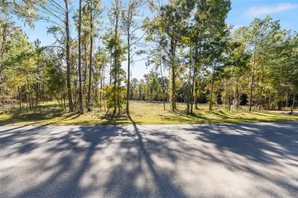 TBD NW 145 ST, Williston, FL 32696
