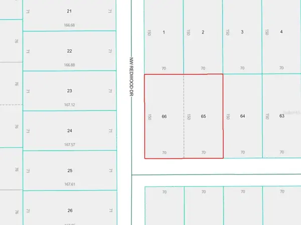 LOTS 65 & 66 NW BANYAN LN, Dunnellon, FL 34431