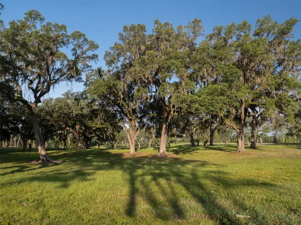 11771 NW 50TH LANE RD, Ocala, FL 34482