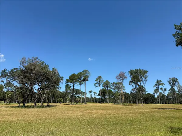 DR #8 (10ac) NW 193RD ST, Micanopy, FL 32667