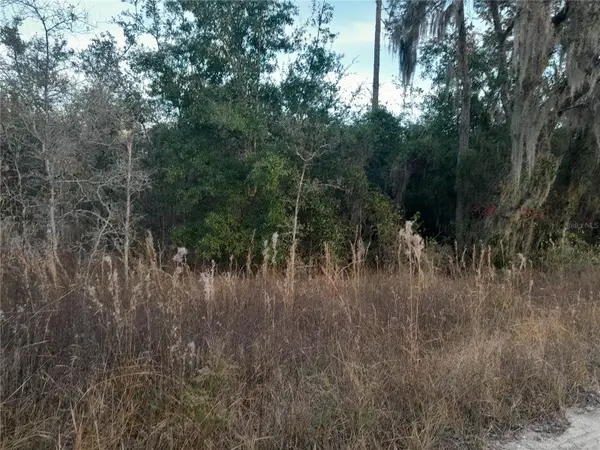 1531 NE 123RD AVE, Williston, FL 32696