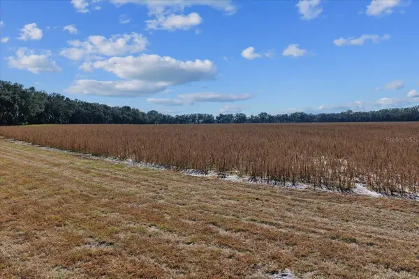 TBD NE 150 ST, Trenton, FL 32693