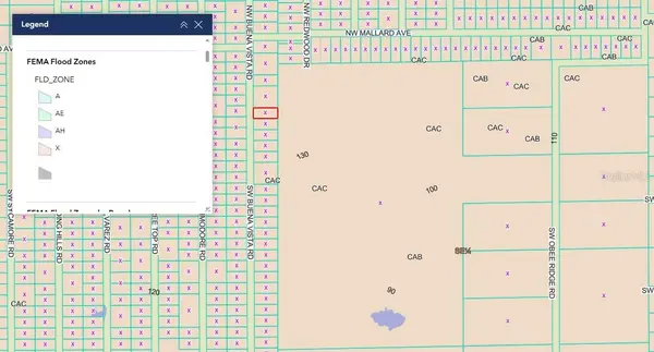 TBD SW BUENA VISTA RD, Dunnellon, FL 34431