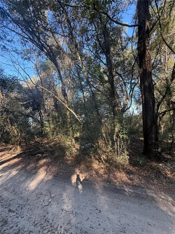 SW 148TH CT 32ND PL, Ocala, FL 34481