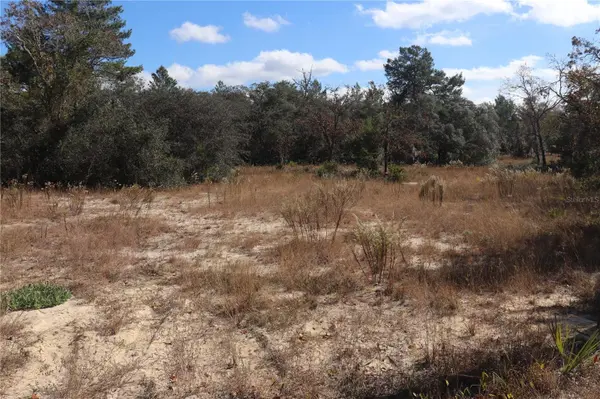 9097 N PEEWEE PT, Dunnellon, FL 34433