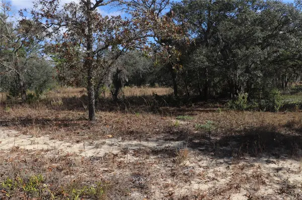 9097 N PEEWEE PT, Dunnellon, FL 34433