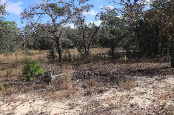9097 N PEEWEE PT, Dunnellon, FL 34433