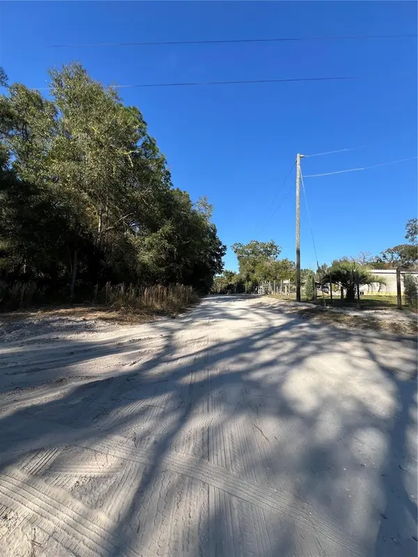TBD SE 179TH PL, Summerfield, FL 34491