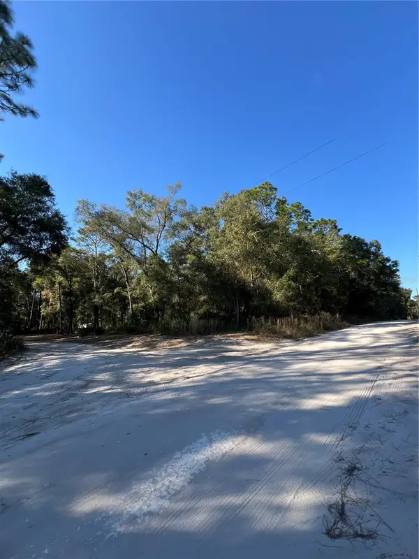 TBD SE 179TH PL, Summerfield, FL 34491