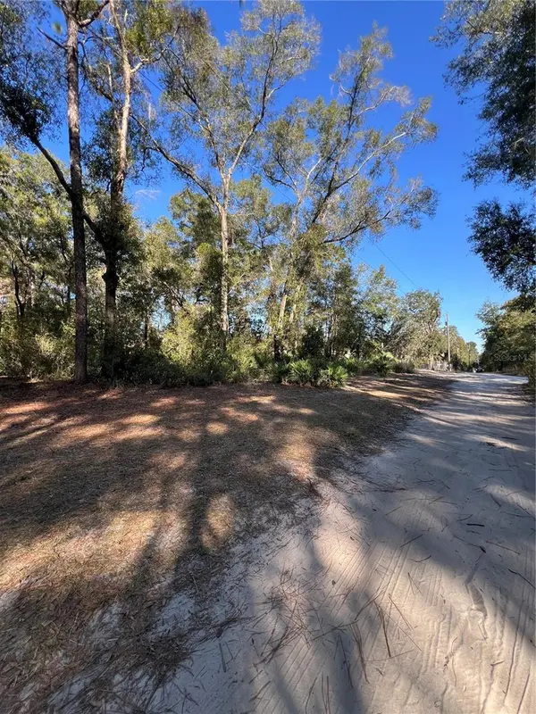 TBD SE 179TH PL, Summerfield, FL 34491