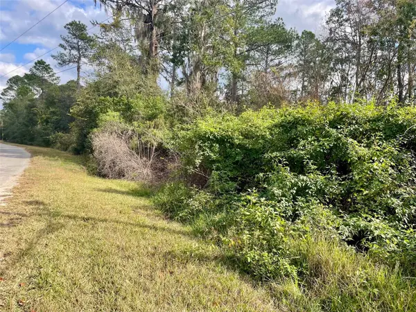 000 FISHER RUN, Ocklawaha, FL 32179