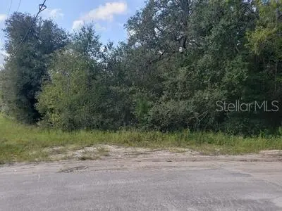 341 S COUNTY ROAD 315, Interlachen, FL 32148