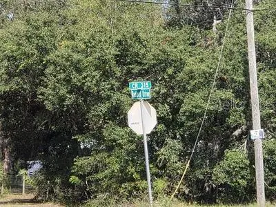 341 S COUNTY ROAD 315, Interlachen, FL 32148
