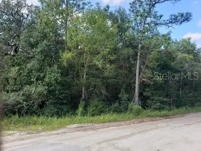 341 S COUNTY ROAD 315, Interlachen, FL 32148