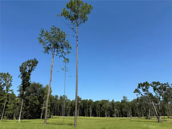 DR #7 (10ac) NW 193RD ST, Micanopy, FL 32667