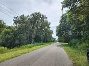 ORANGE RD, Ocklawaha, FL 32179