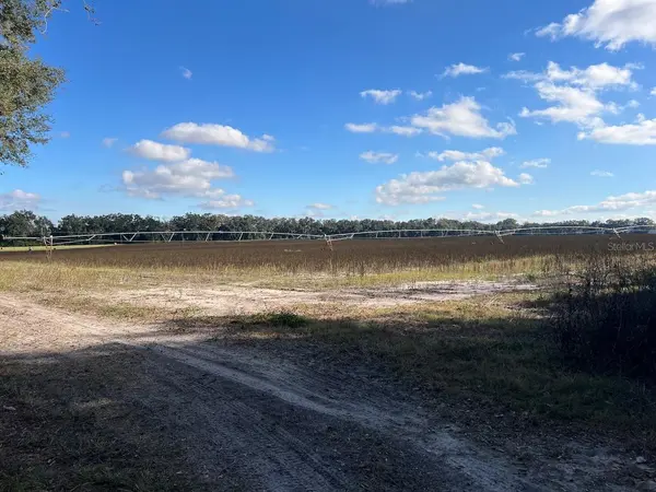 NE 150 ST, Trenton, FL 32693