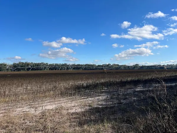 NE 150 ST, Trenton, FL 32693