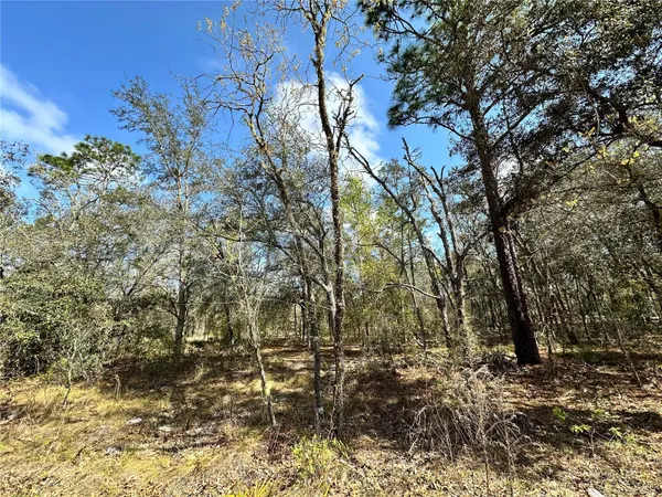 TBD NE 68TH PL, Bronson, FL 32621
