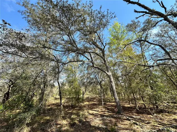 TBD NE 68TH PL, Bronson, FL 32621