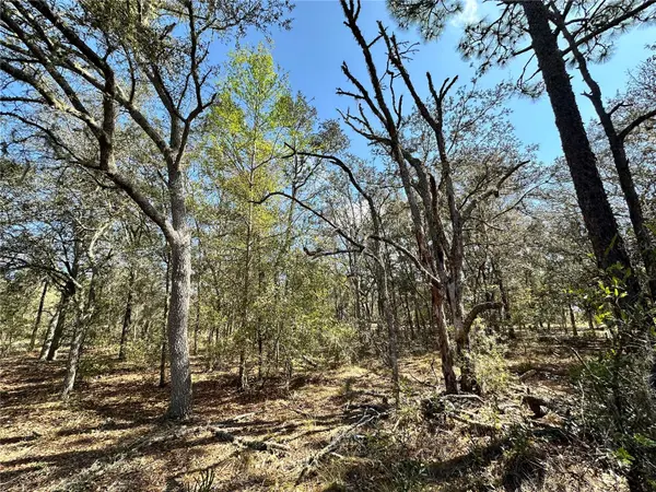 TBD NE 68TH PL, Bronson, FL 32621